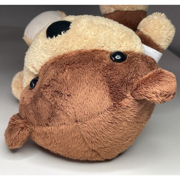 Toon Spencer Nice Guy Teddy Bear Plush 8” Wong Fu Productions Awkward Animals - Picture 7 of 14